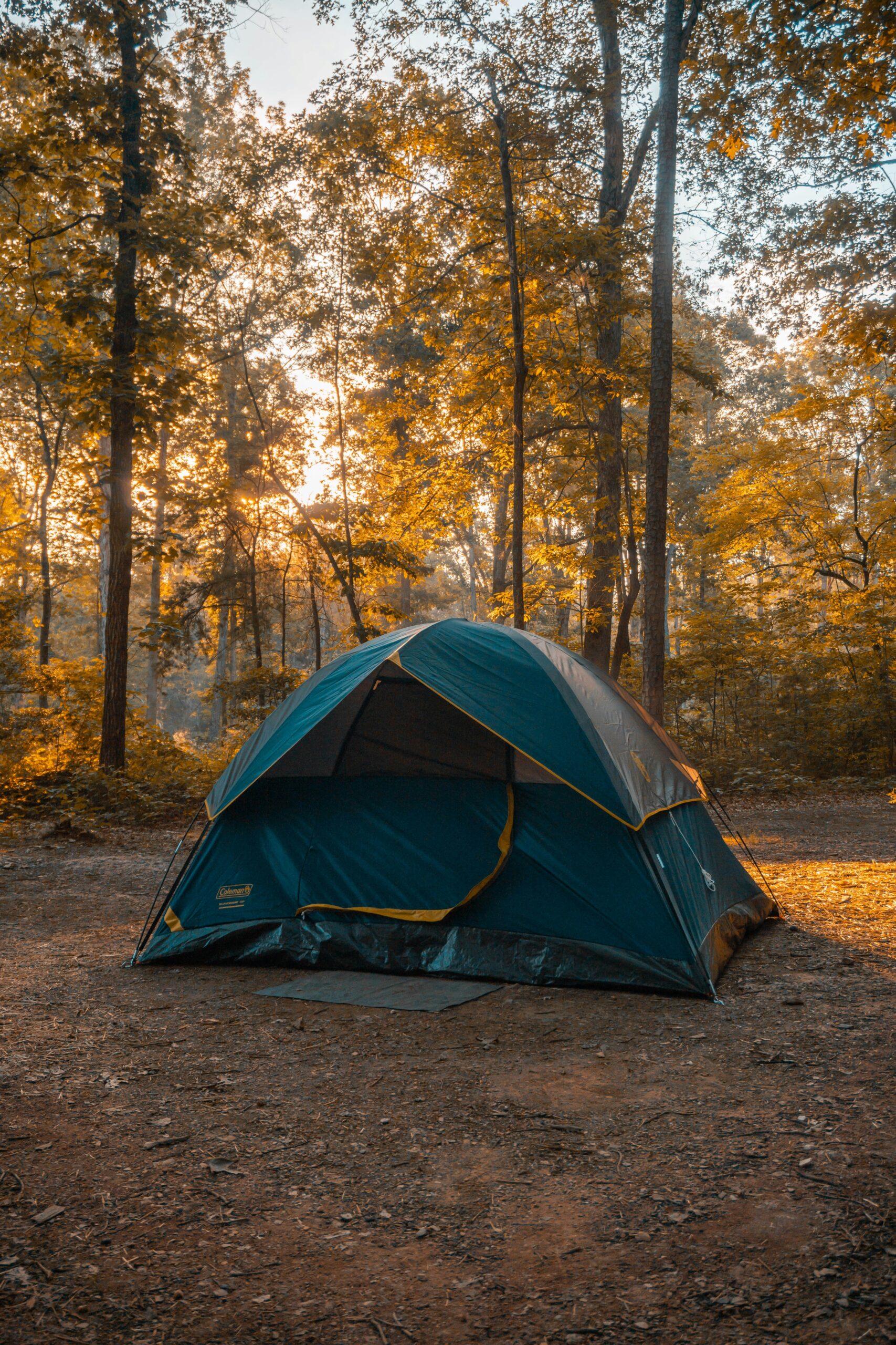triston-dunn-gDElF4RMYbY-unsplash
